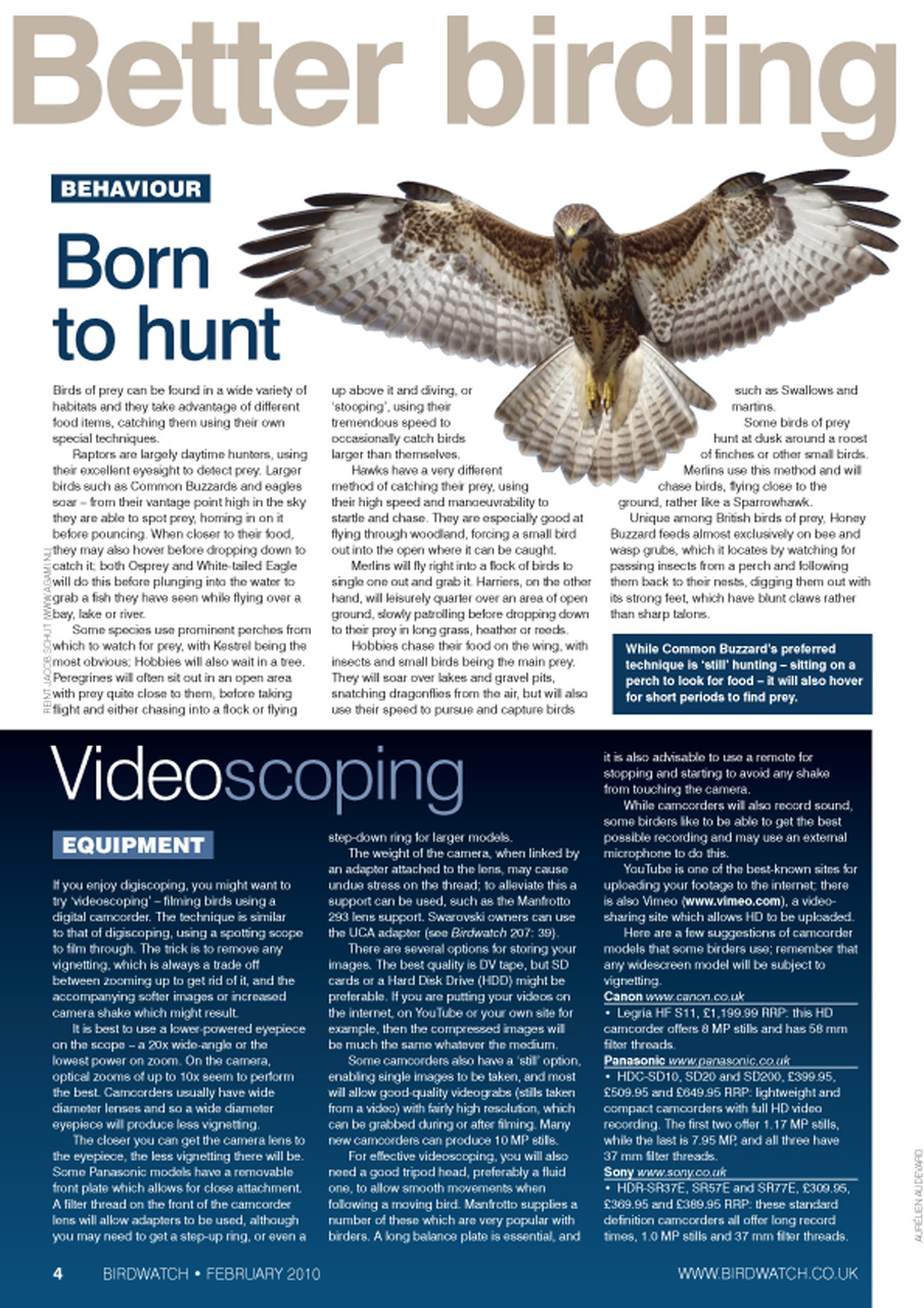 Birdwatch Magazine Preview Pages