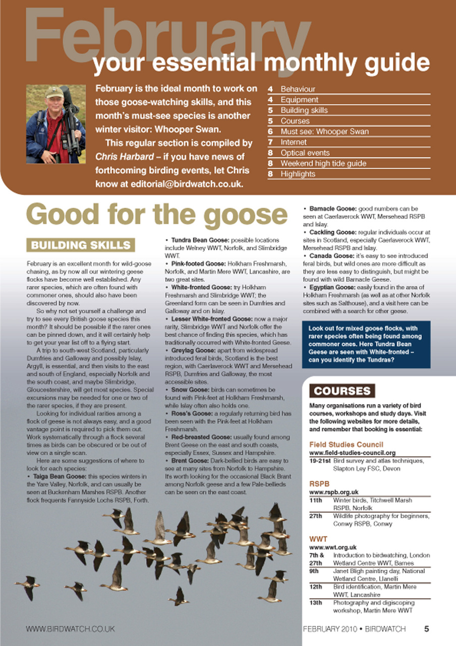 Birdwatch Magazine Preview Pages