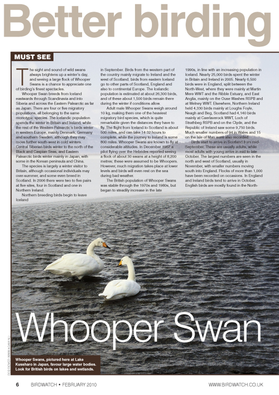 Birdwatch Magazine Preview Pages