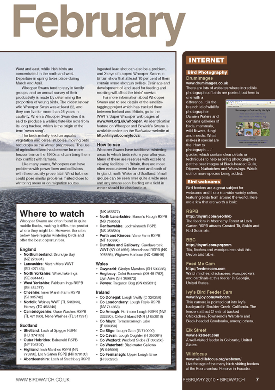 Birdwatch Magazine Preview Pages