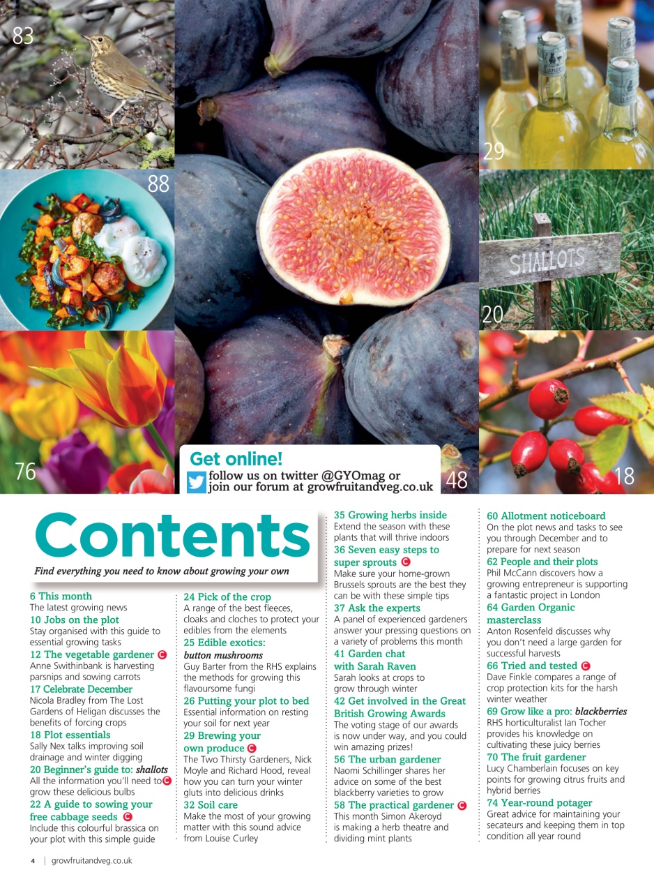 Grow Your Own Preview Pages