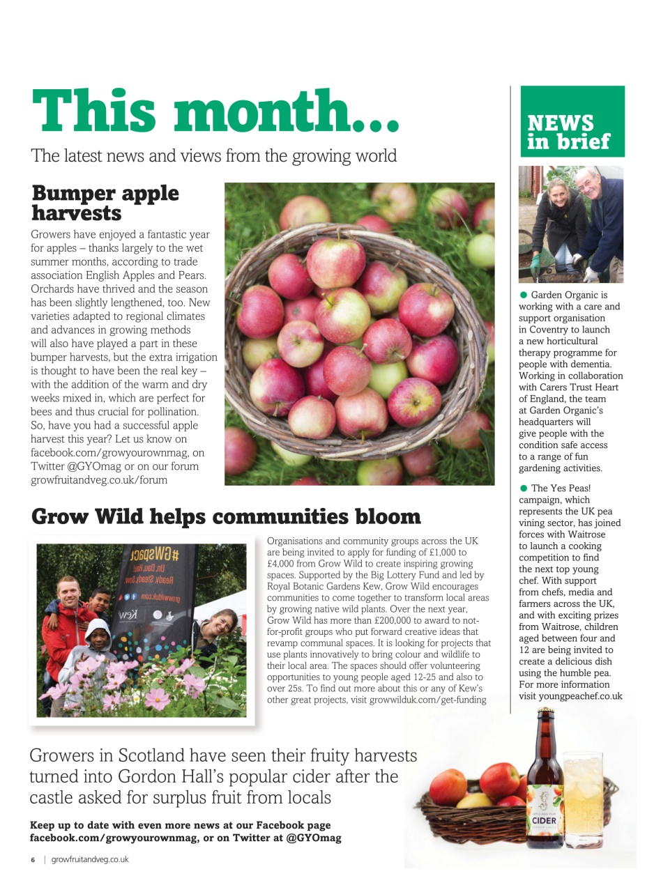 Grow Your Own Preview Pages