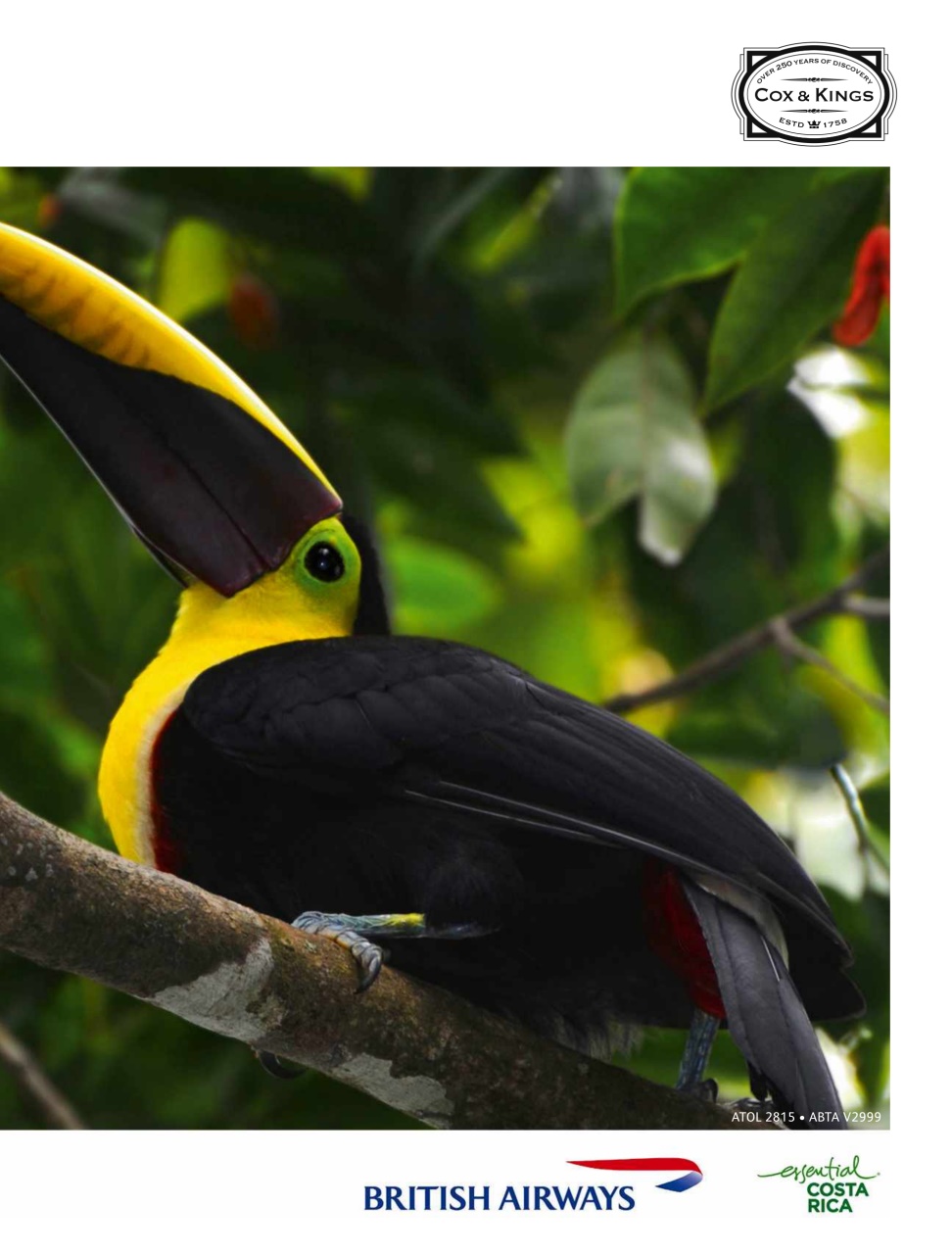 Lonely Planet Preview Pages