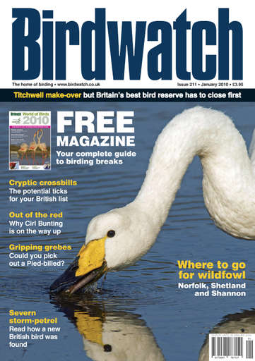 Birdwatch Magazine issue 