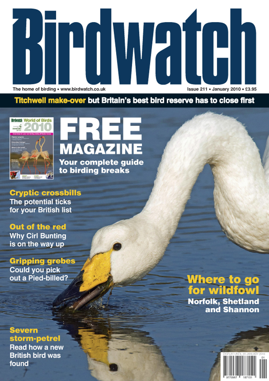 Birdwatch Magazine Preview Pages