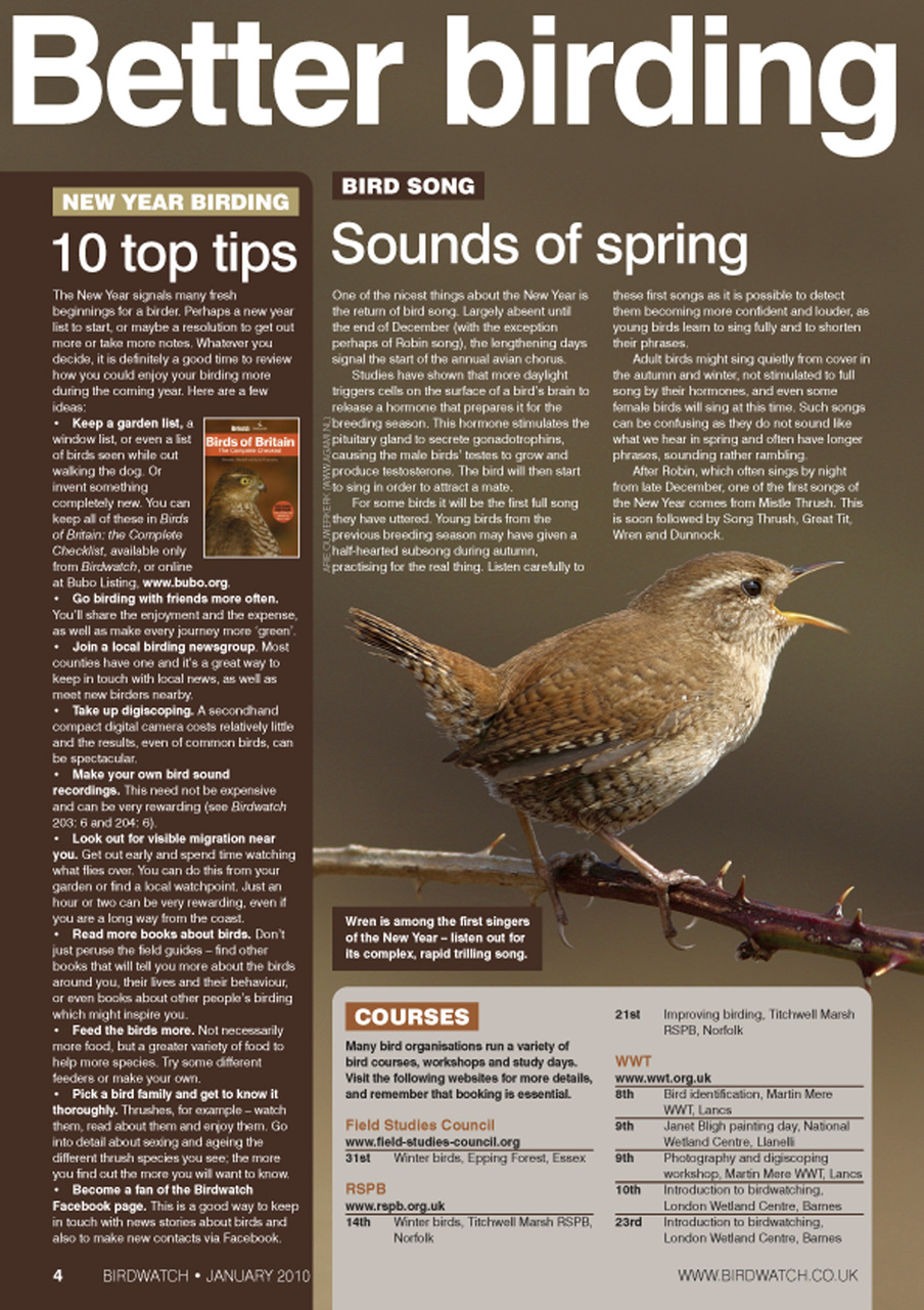 Birdwatch Magazine Preview Pages