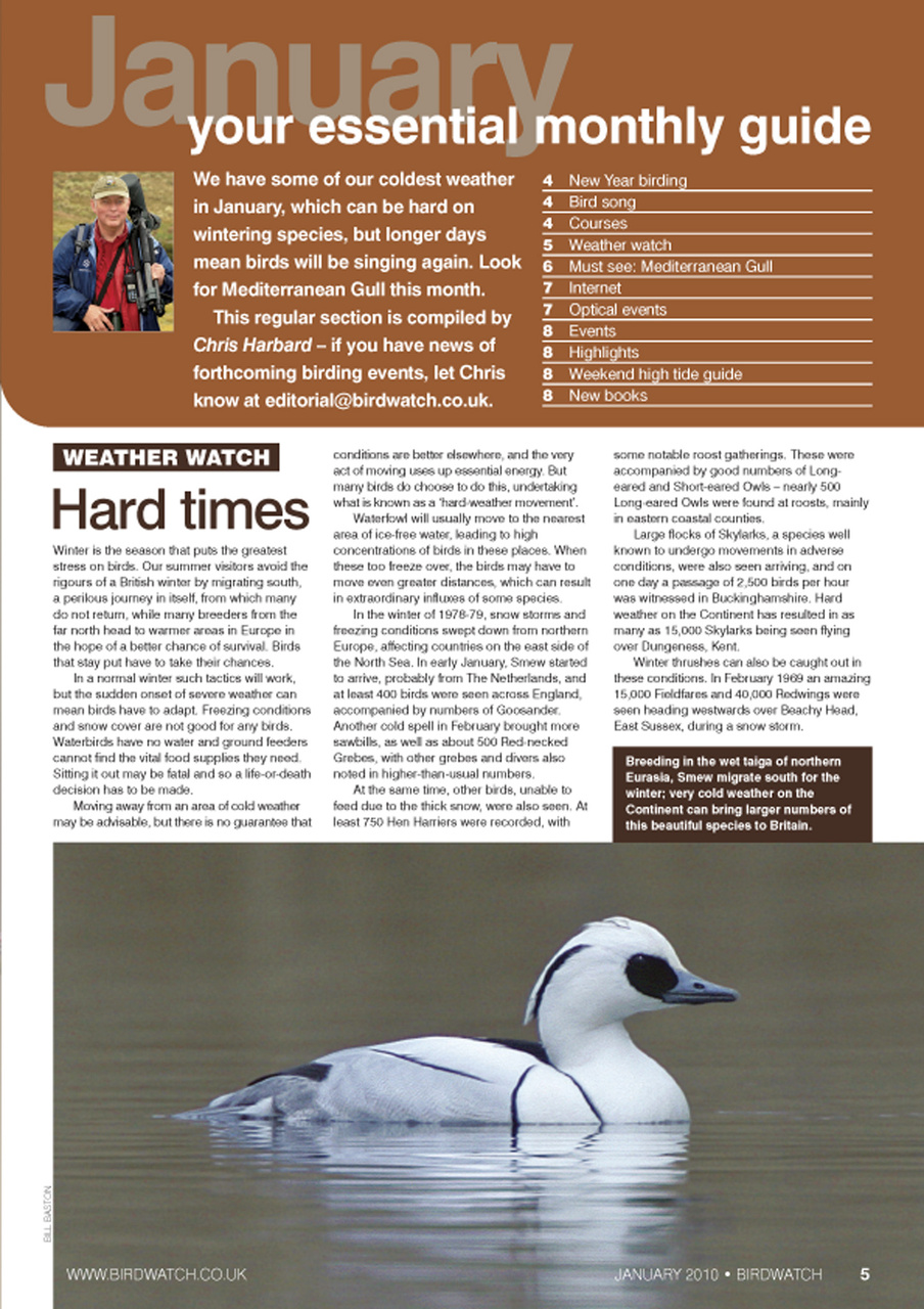 Birdwatch Magazine Preview Pages