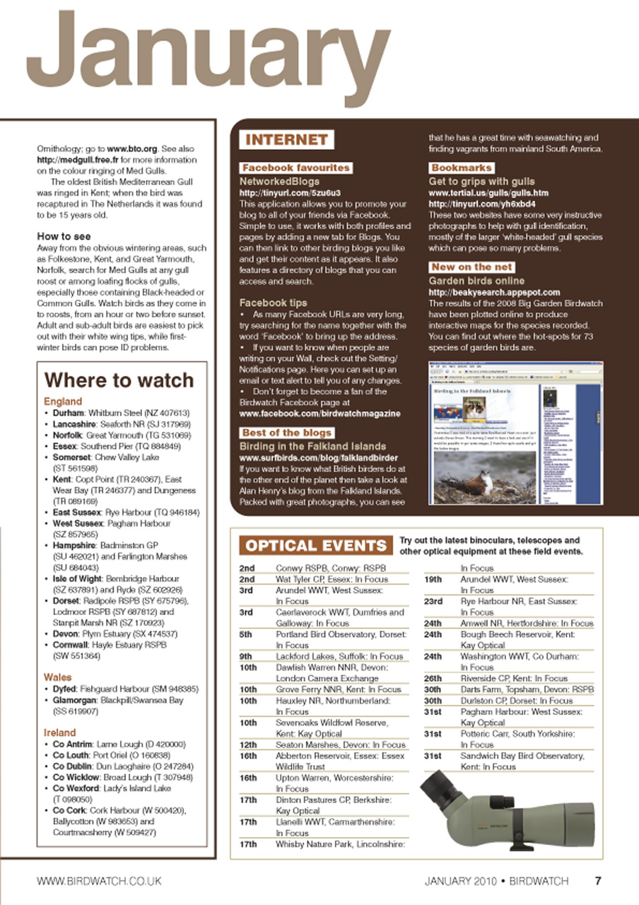 Birdwatch Magazine Preview Pages