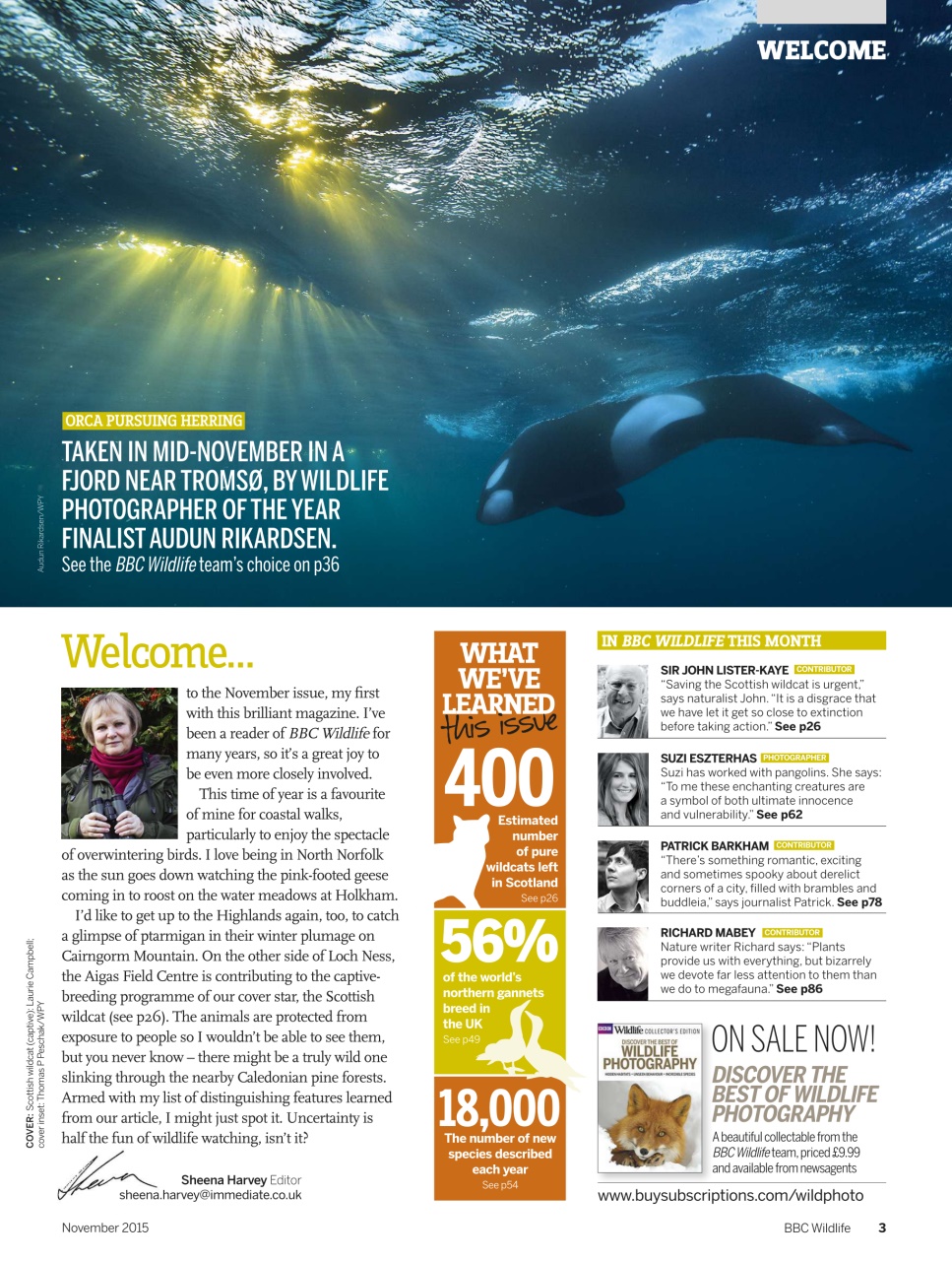 BBC Wildlife Magazine Preview Pages