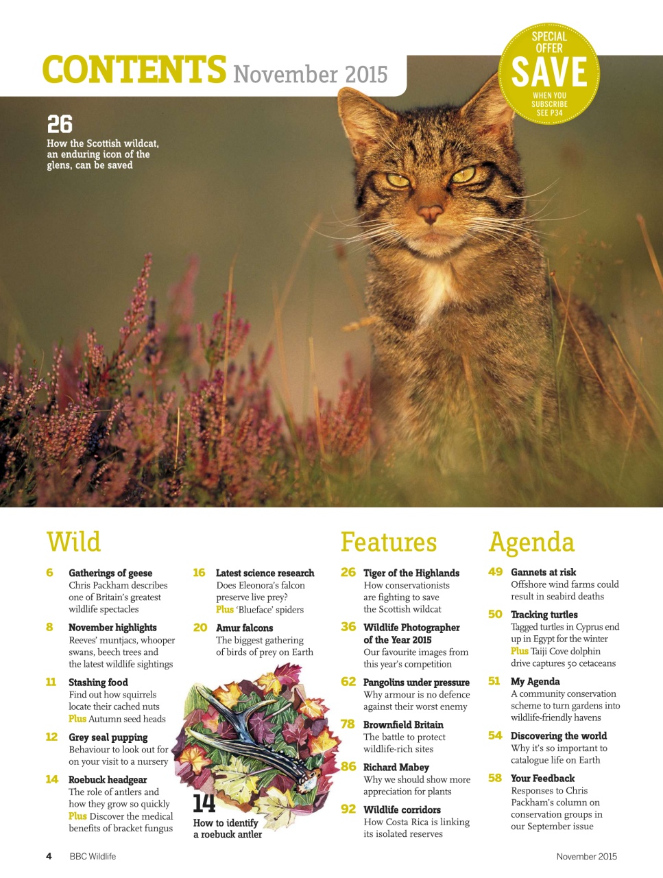 BBC Wildlife Magazine Preview Pages
