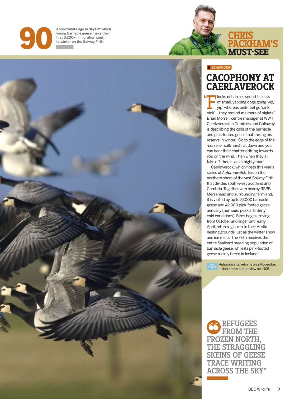 BBC Wildlife Magazine Preview Pages