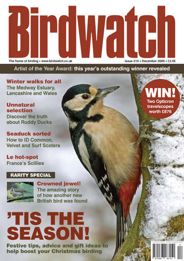 Birdwatch Magazine issue 