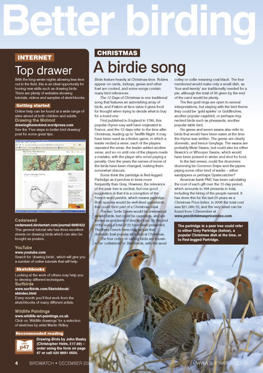Birdwatch Magazine Preview Pages