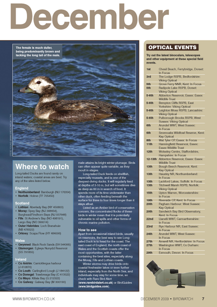 Birdwatch Magazine Preview Pages