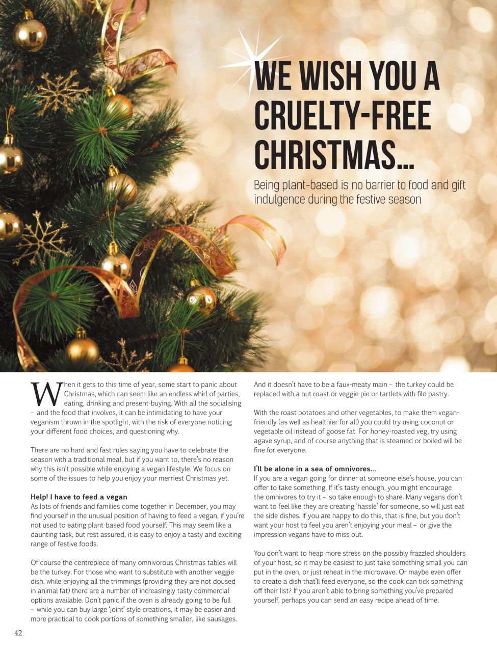 Vegan Life Preview Pages
