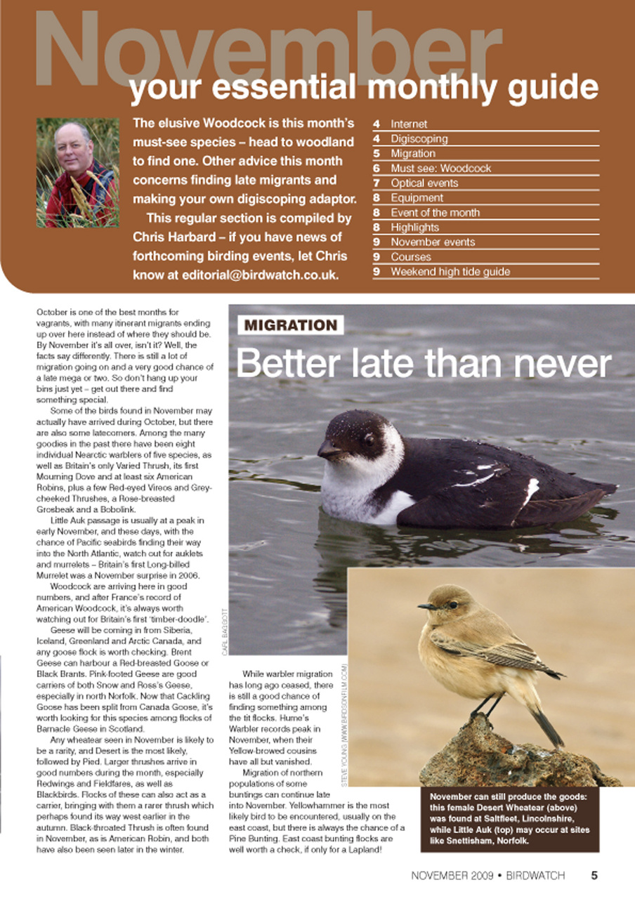 Birdwatch Magazine Preview Pages