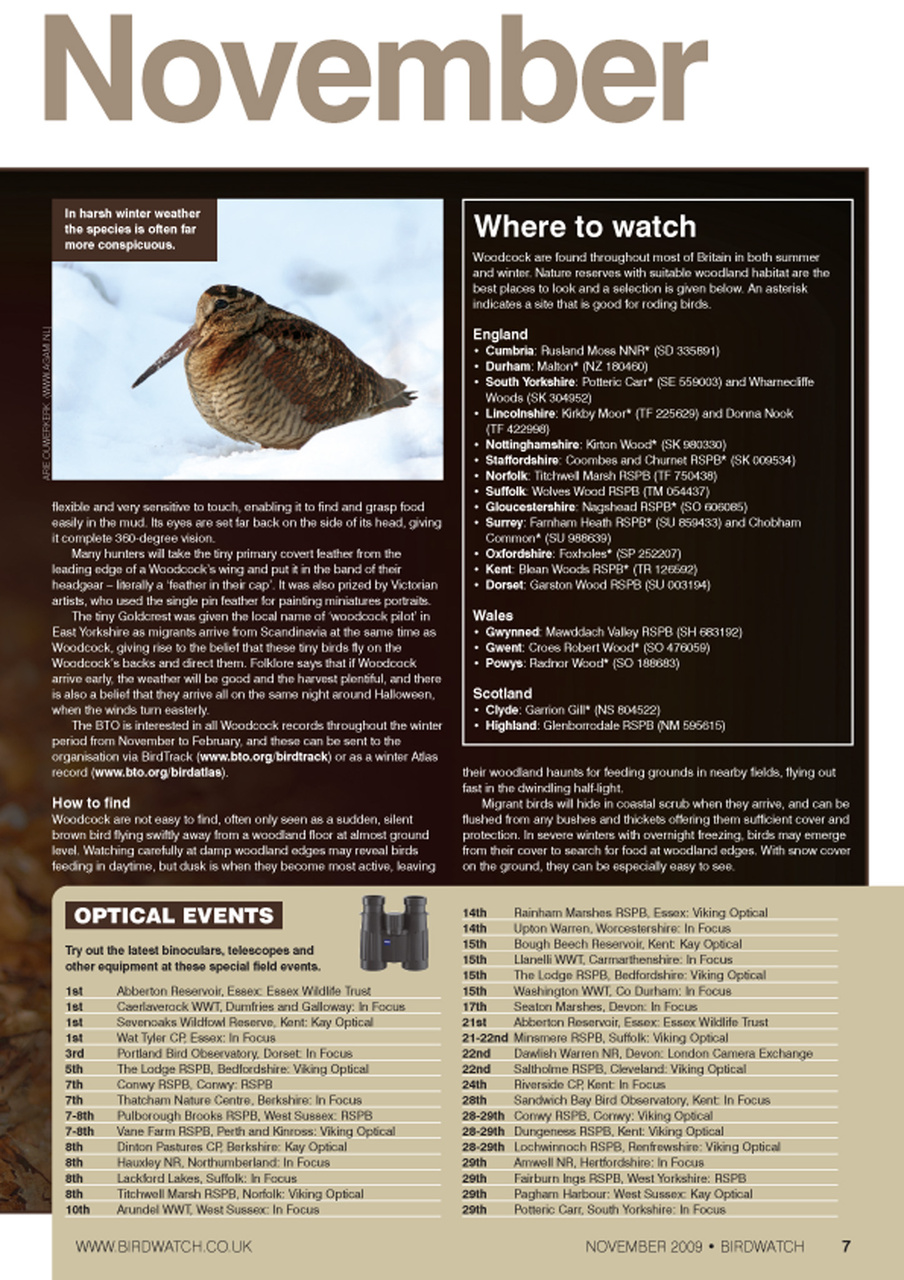 Birdwatch Magazine Preview Pages