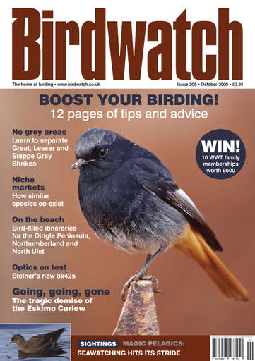 Birdwatch Magazine issue 