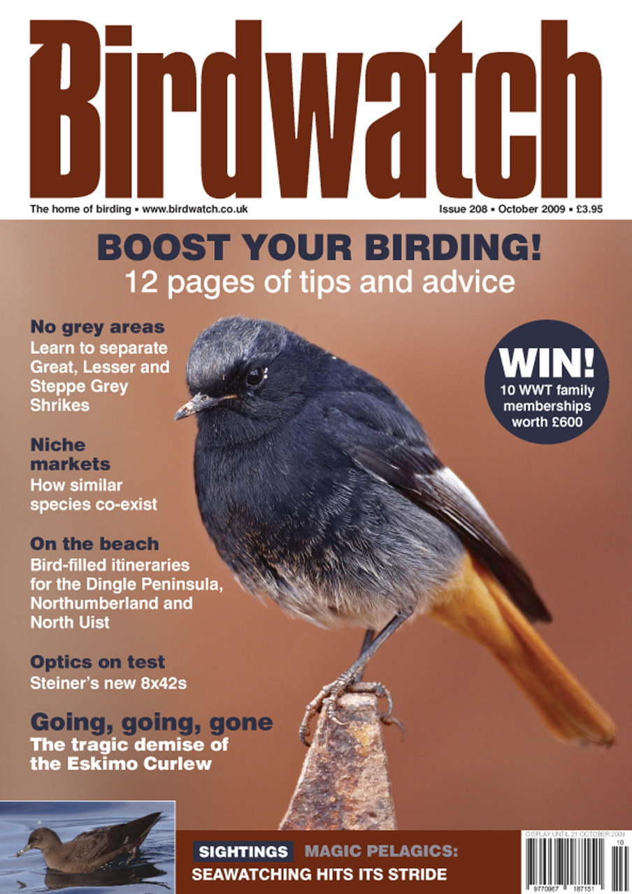 Birdwatch Magazine Preview Pages