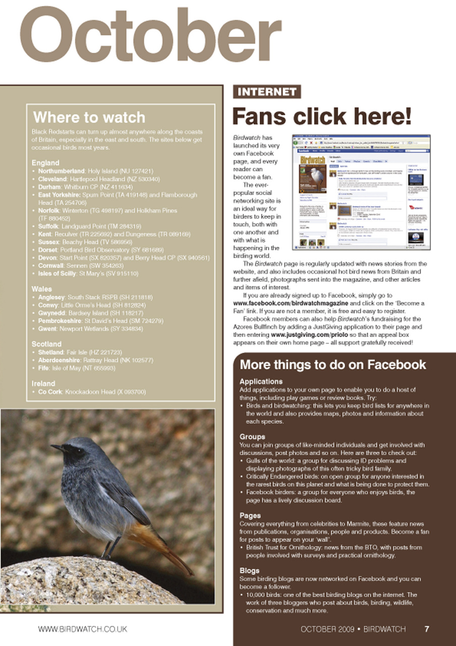 Birdwatch Magazine Preview Pages