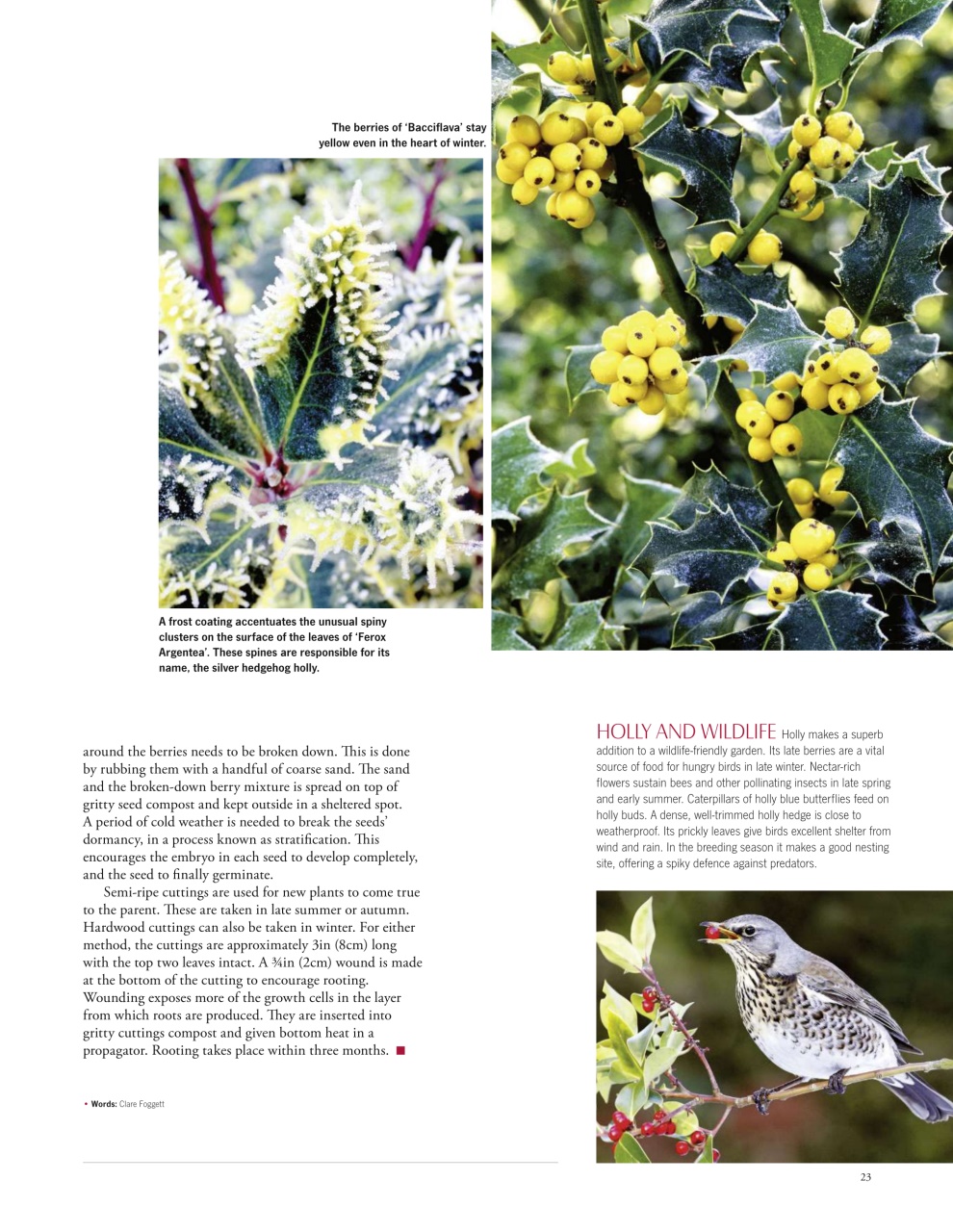 LandScape Preview Pages