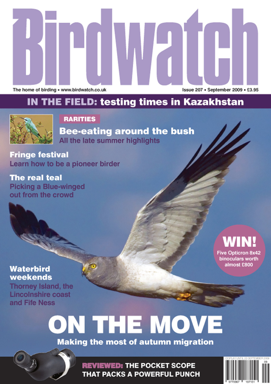 Birdwatch Magazine Preview Pages