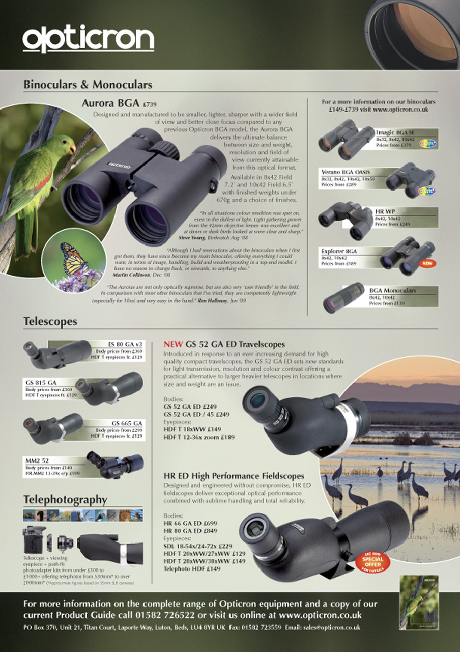 Birdwatch Magazine Preview Pages