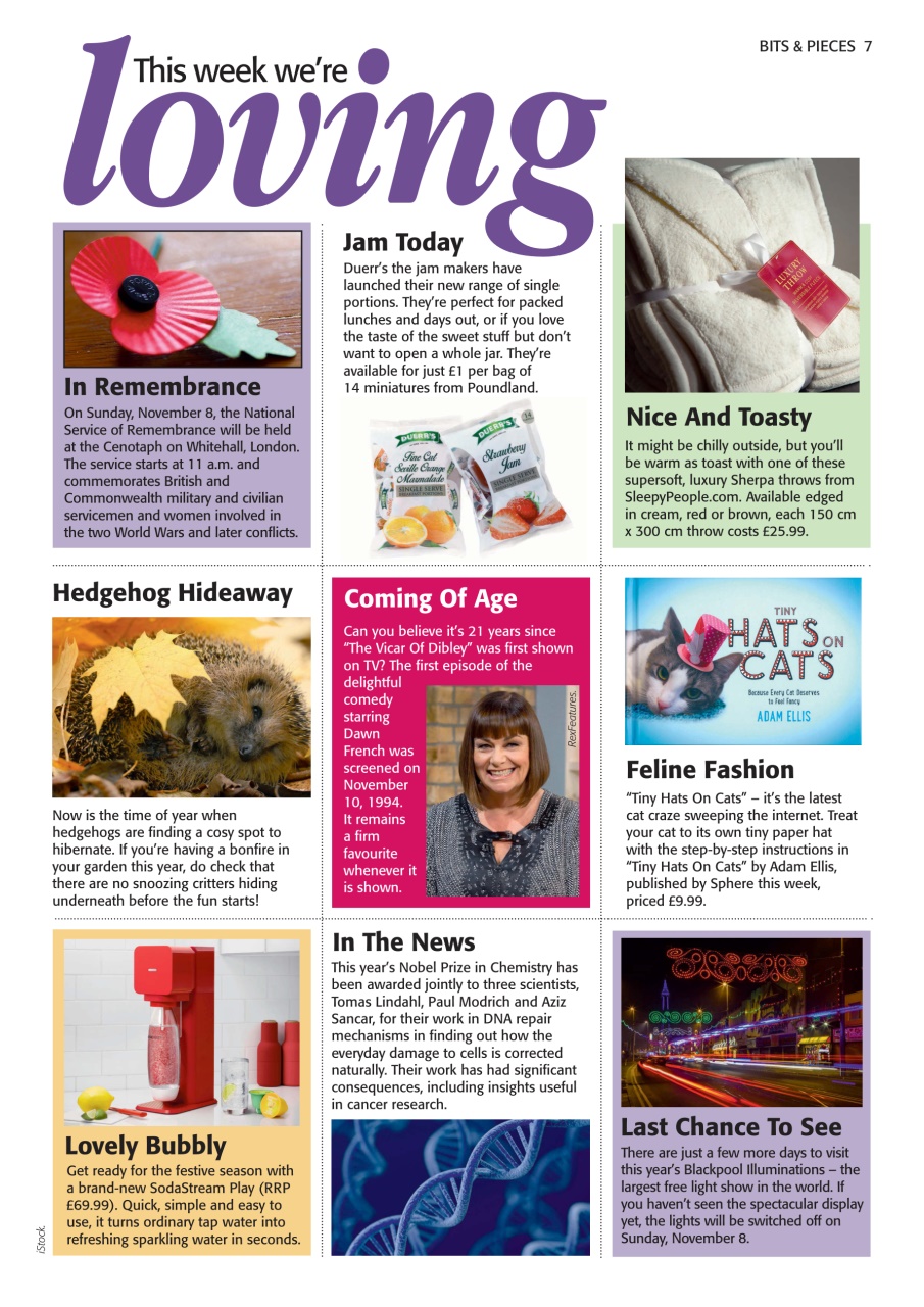 The People’s Friend Preview Pages