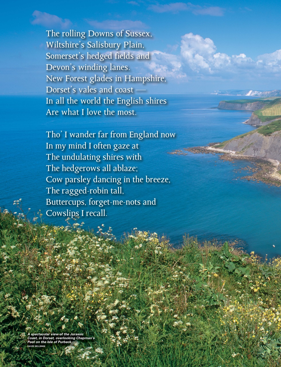 This England Preview Pages