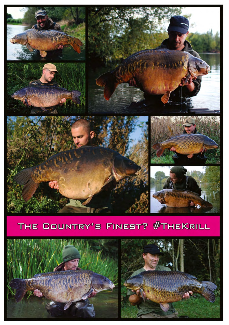 Carpworld Preview Pages