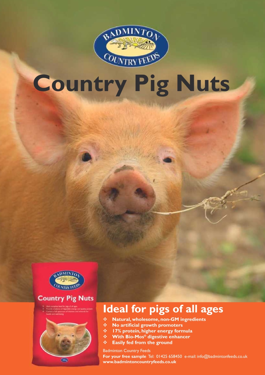 Practical Pigs Preview Pages