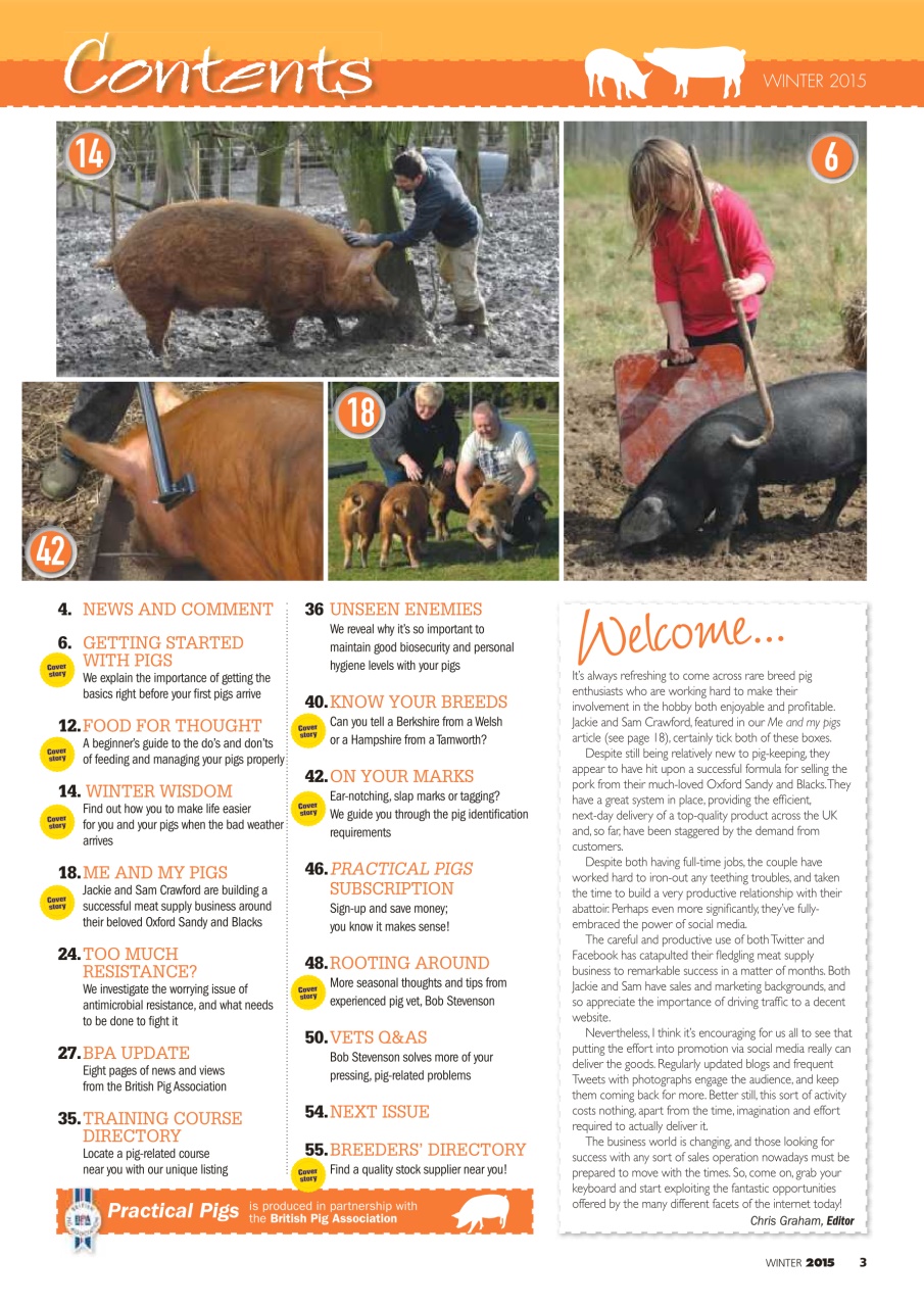 Practical Pigs Preview Pages