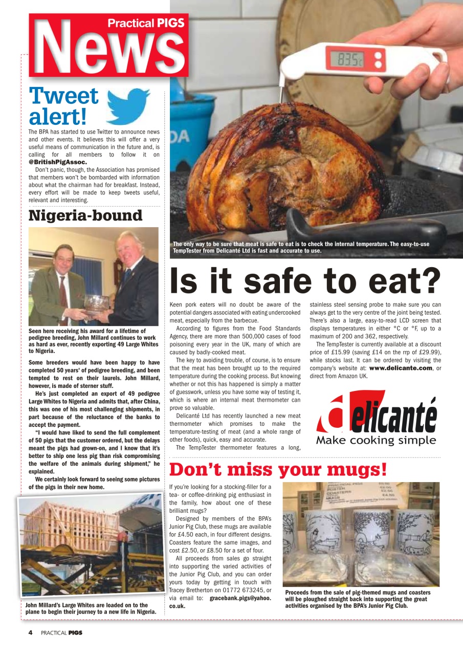 Practical Pigs Preview Pages