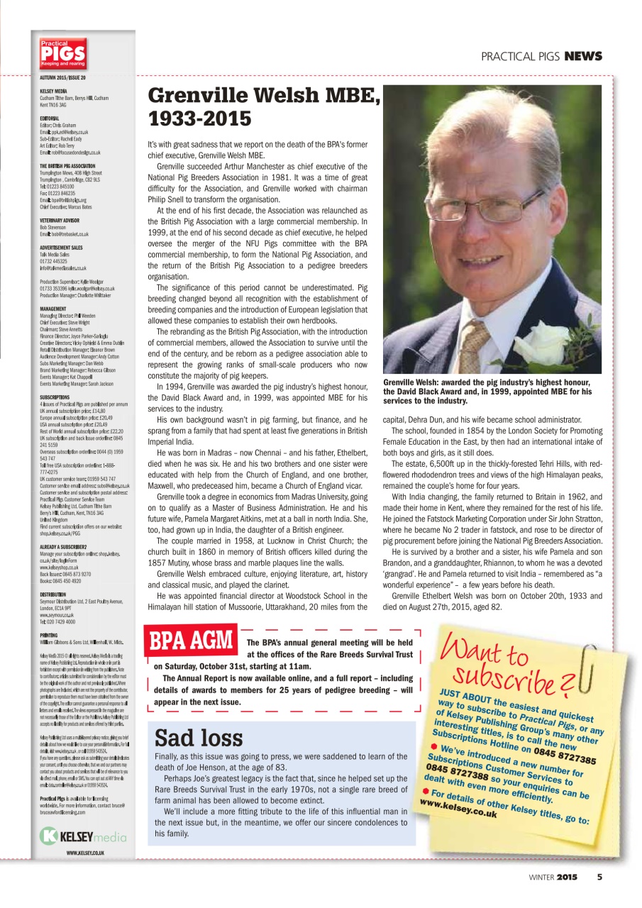 Practical Pigs Preview Pages