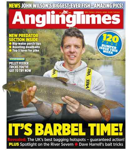 Angling Times issue 3rd November 2015