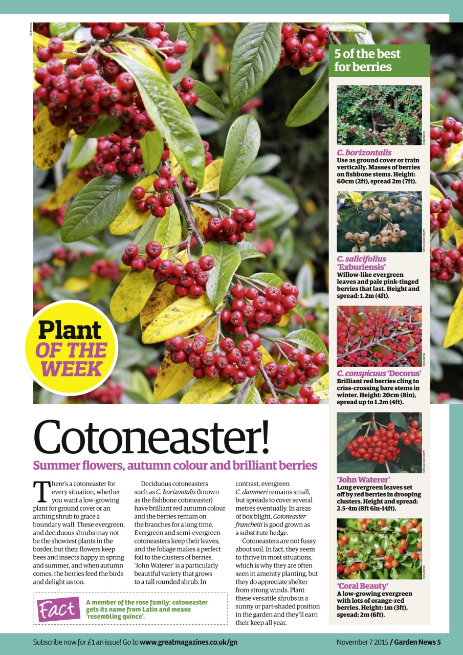 Garden News Preview Pages
