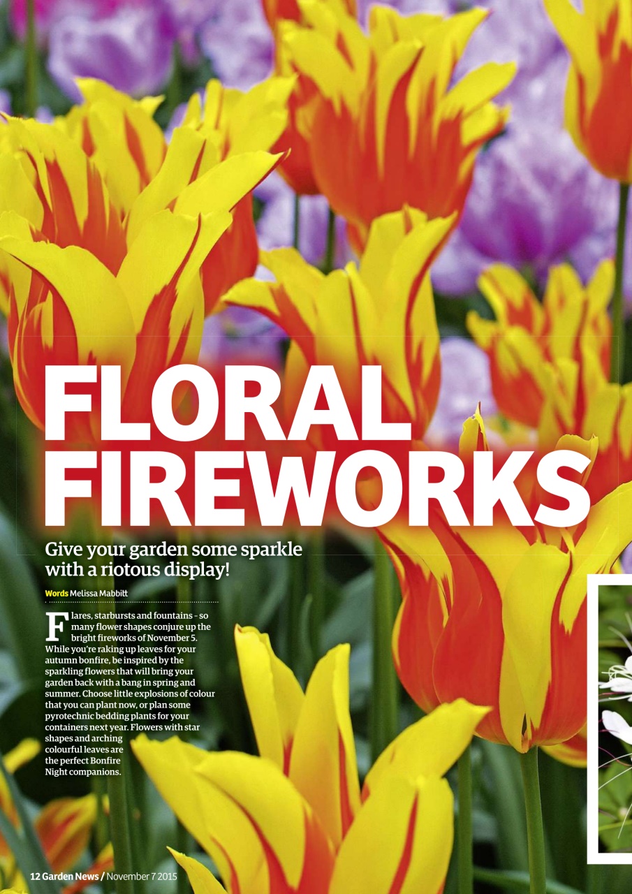 Garden News Preview Pages