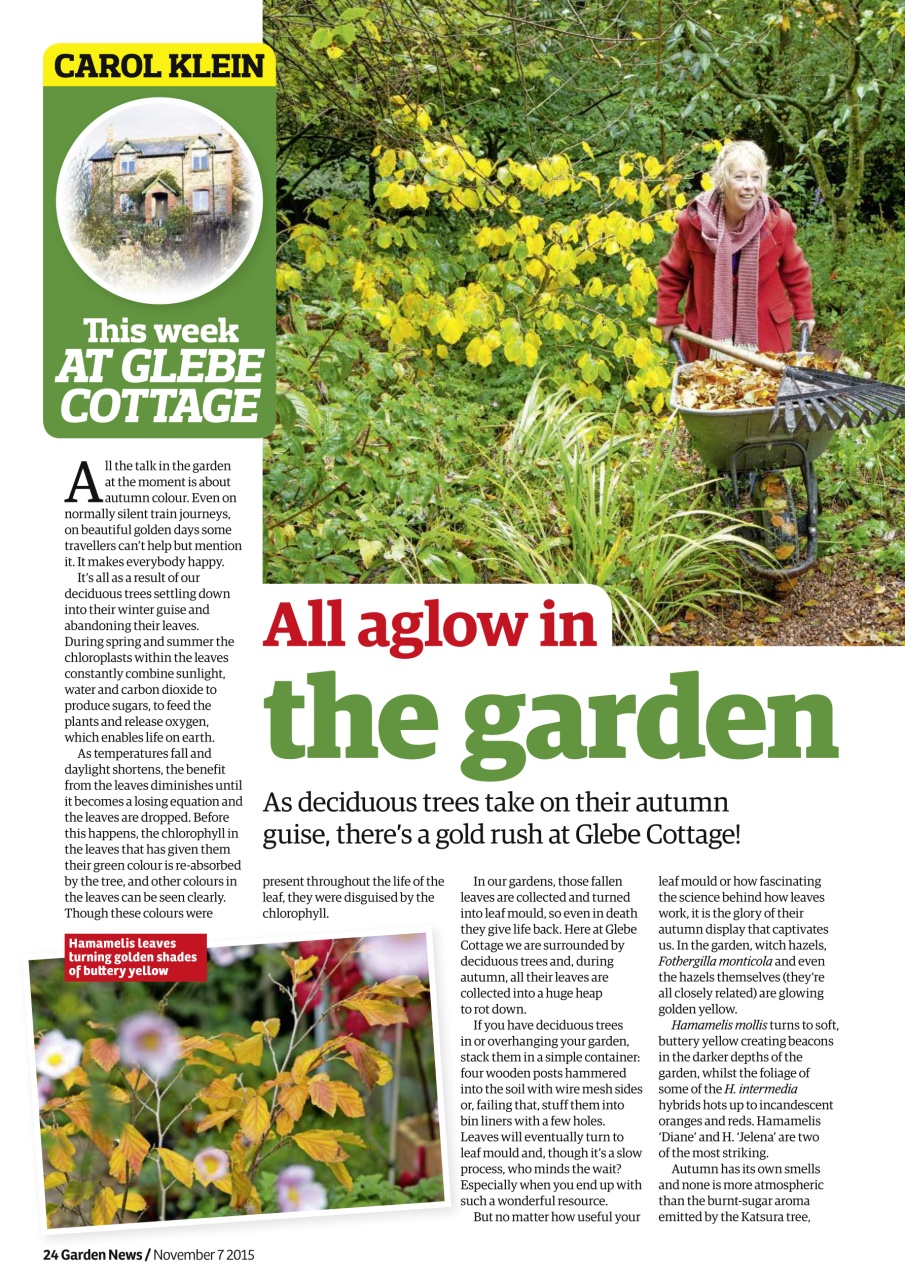 Garden News Preview Pages