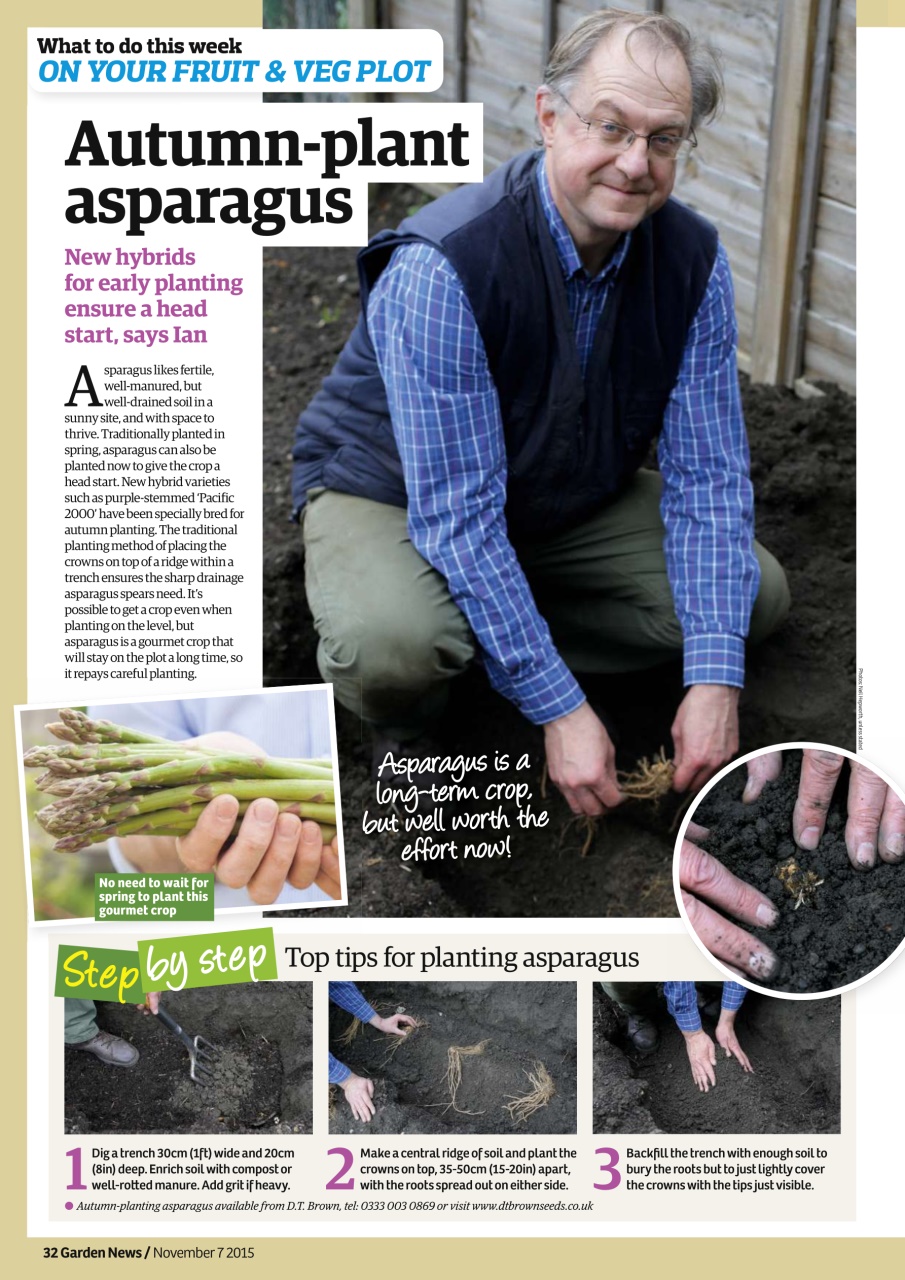 Garden News Preview Pages