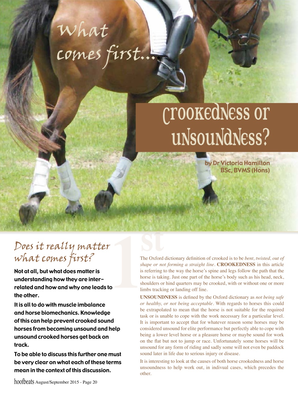 Hoofbeats Preview Pages