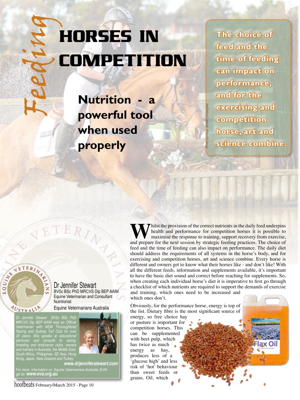 Hoofbeats Preview Pages