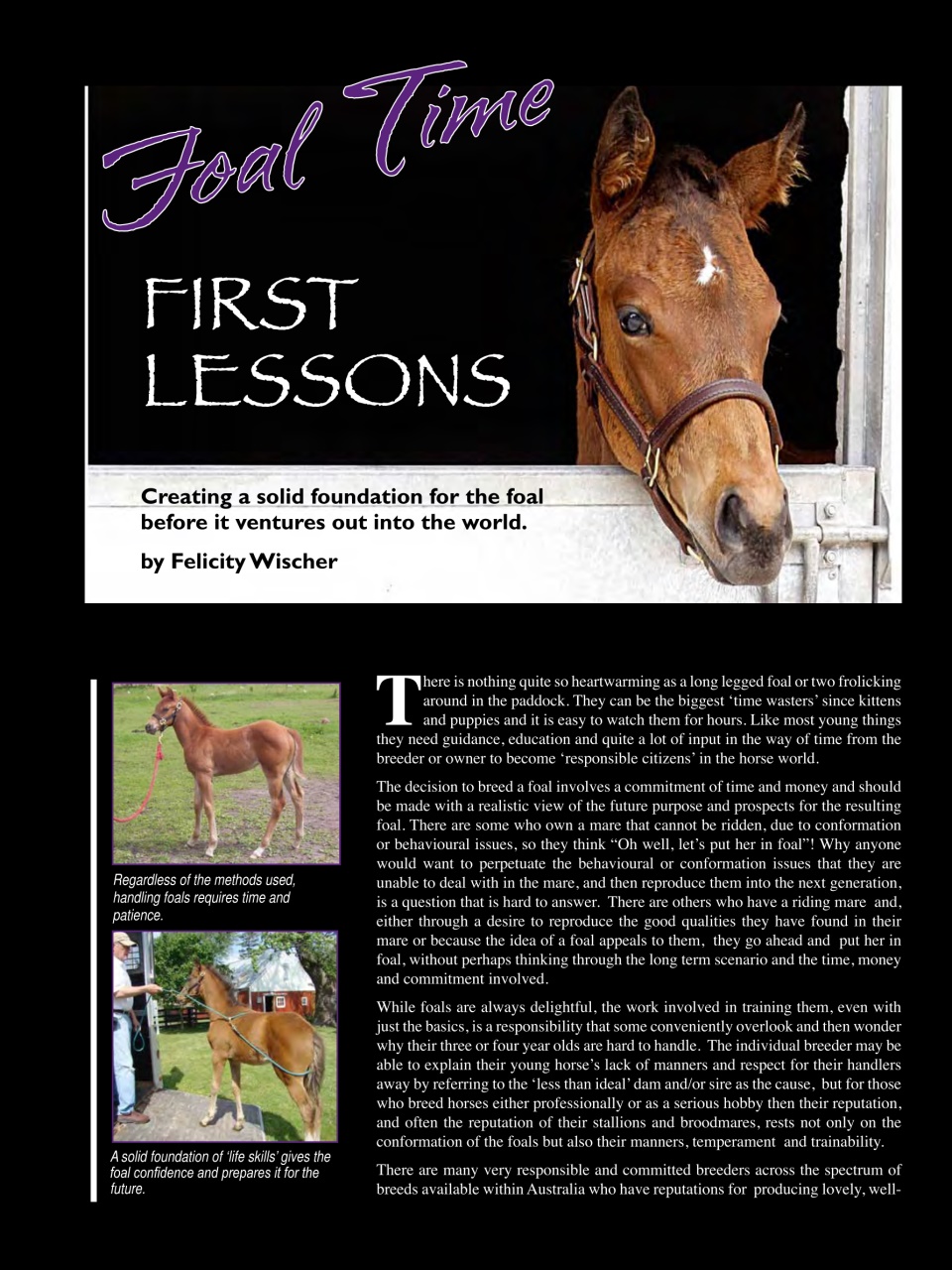 Hoofbeats Preview Pages