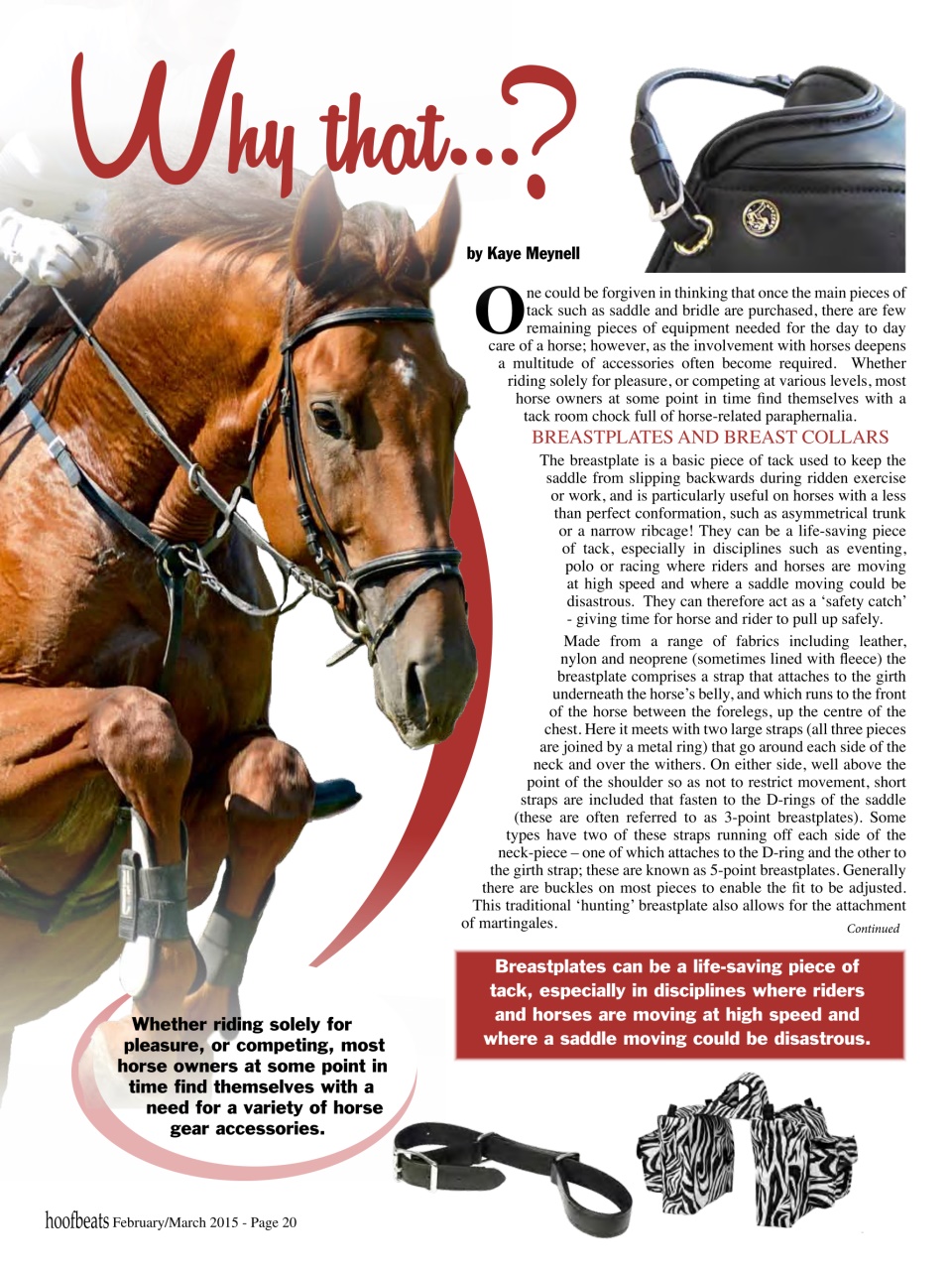 Hoofbeats Preview Pages