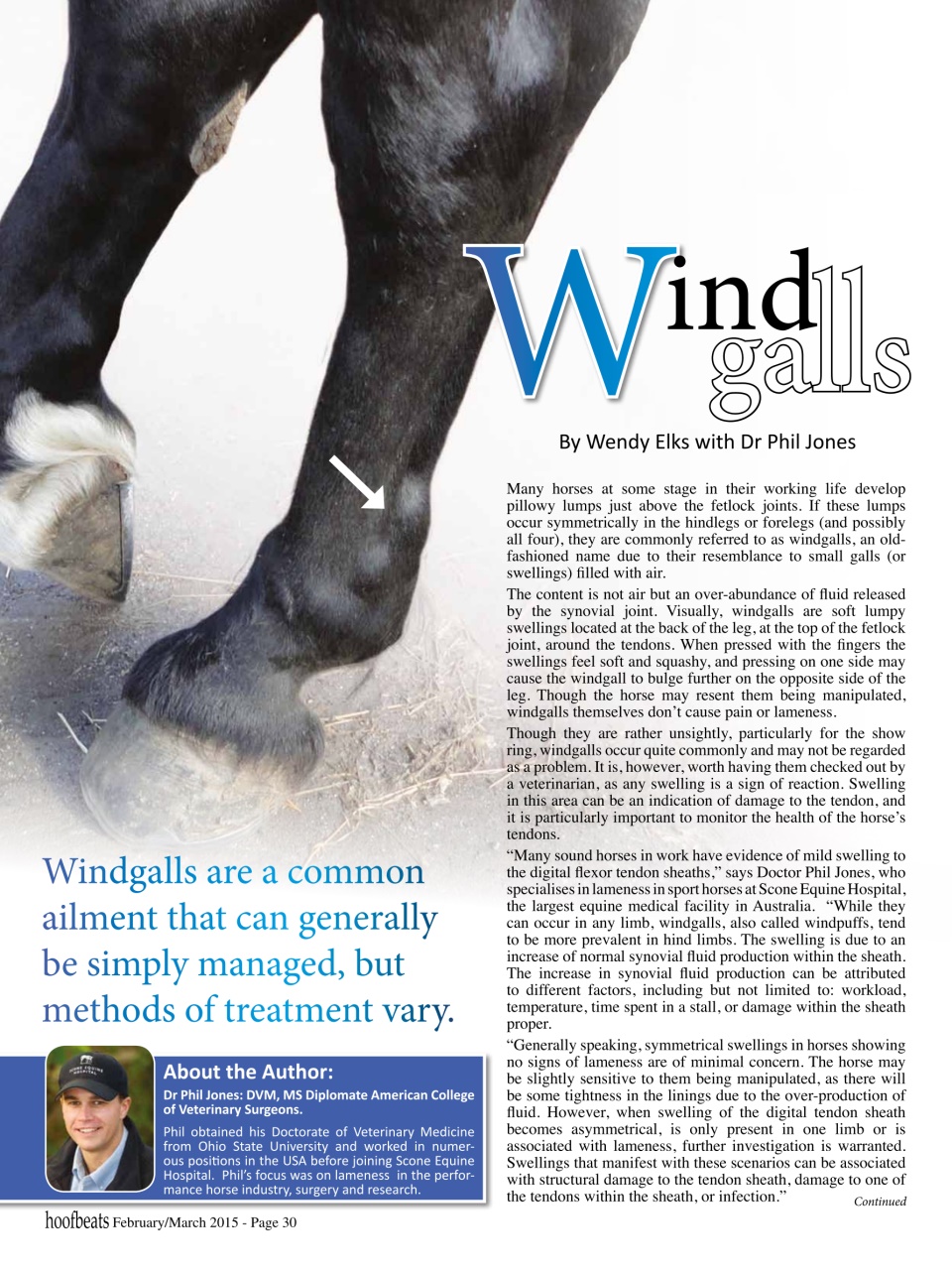 Hoofbeats Preview Pages