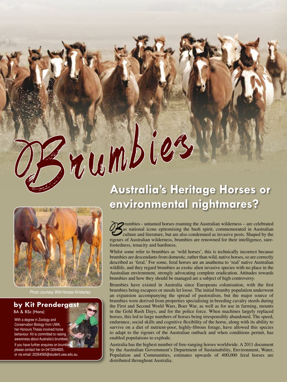 Hoofbeats Preview Pages