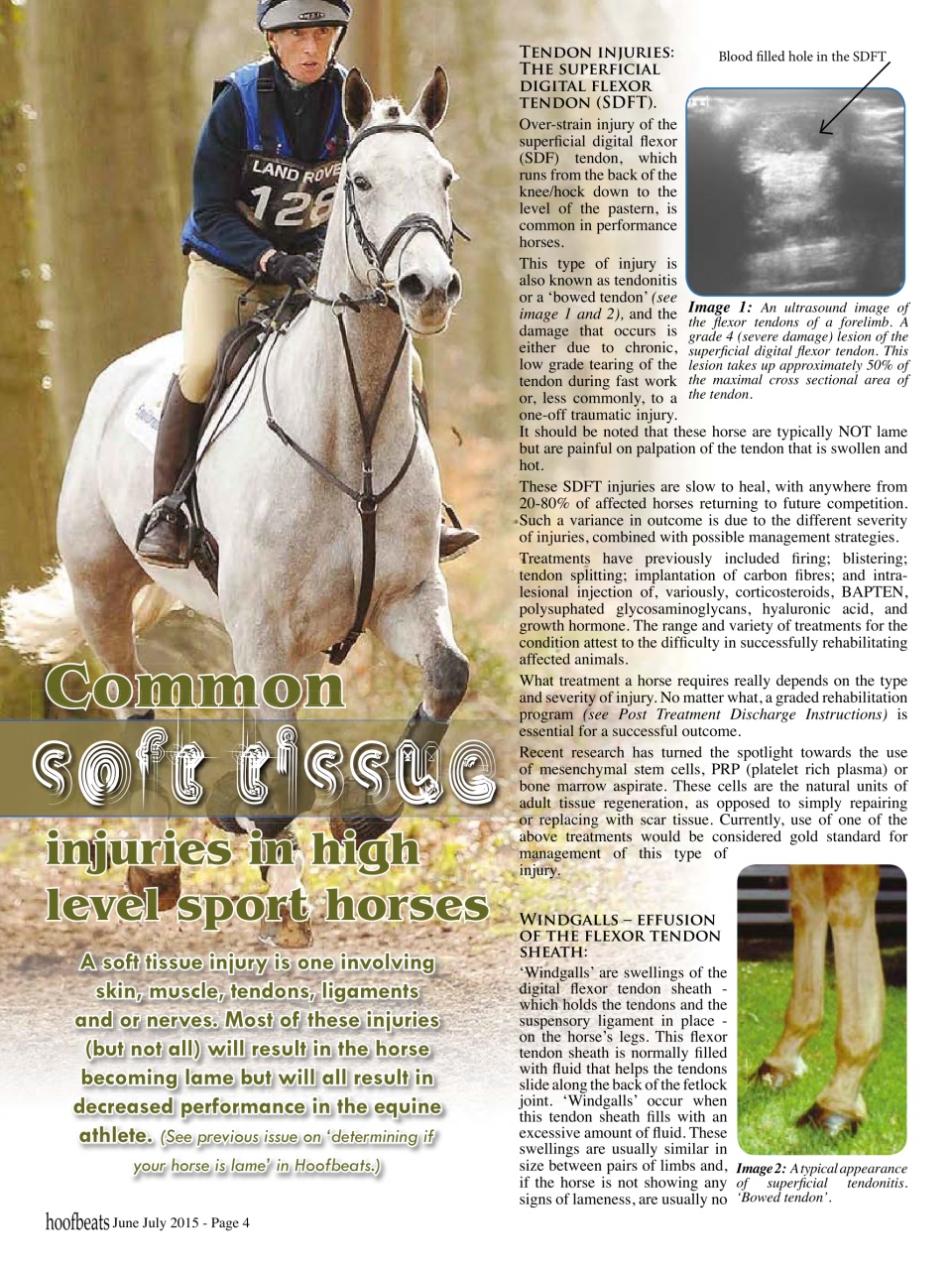 Hoofbeats Preview Pages