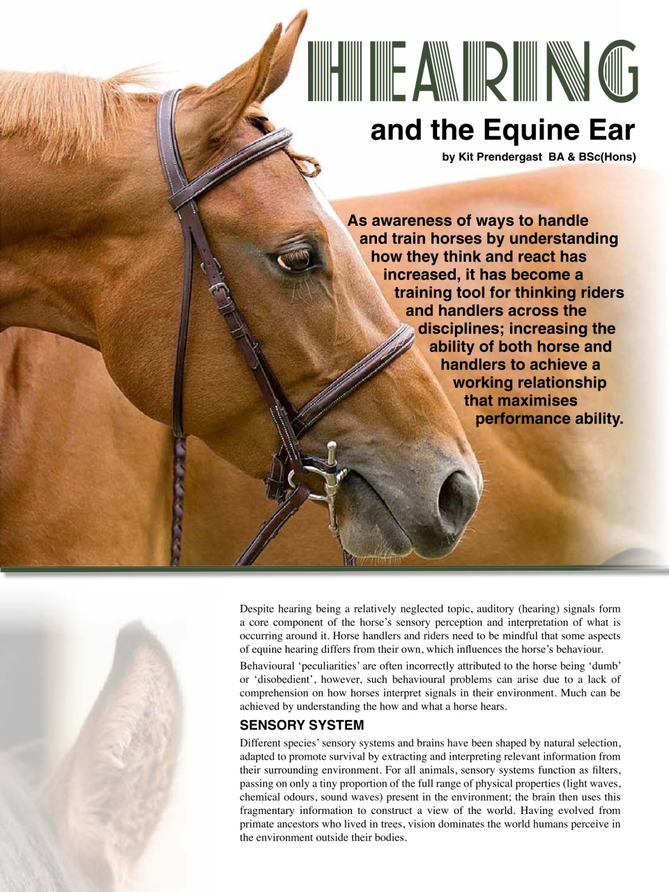 Hoofbeats Preview Pages