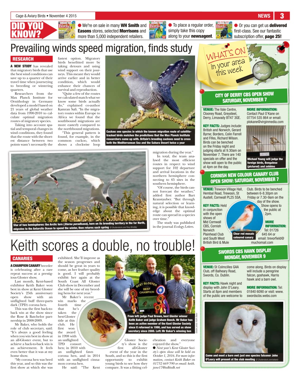 Cage & Aviary Birds Preview Pages