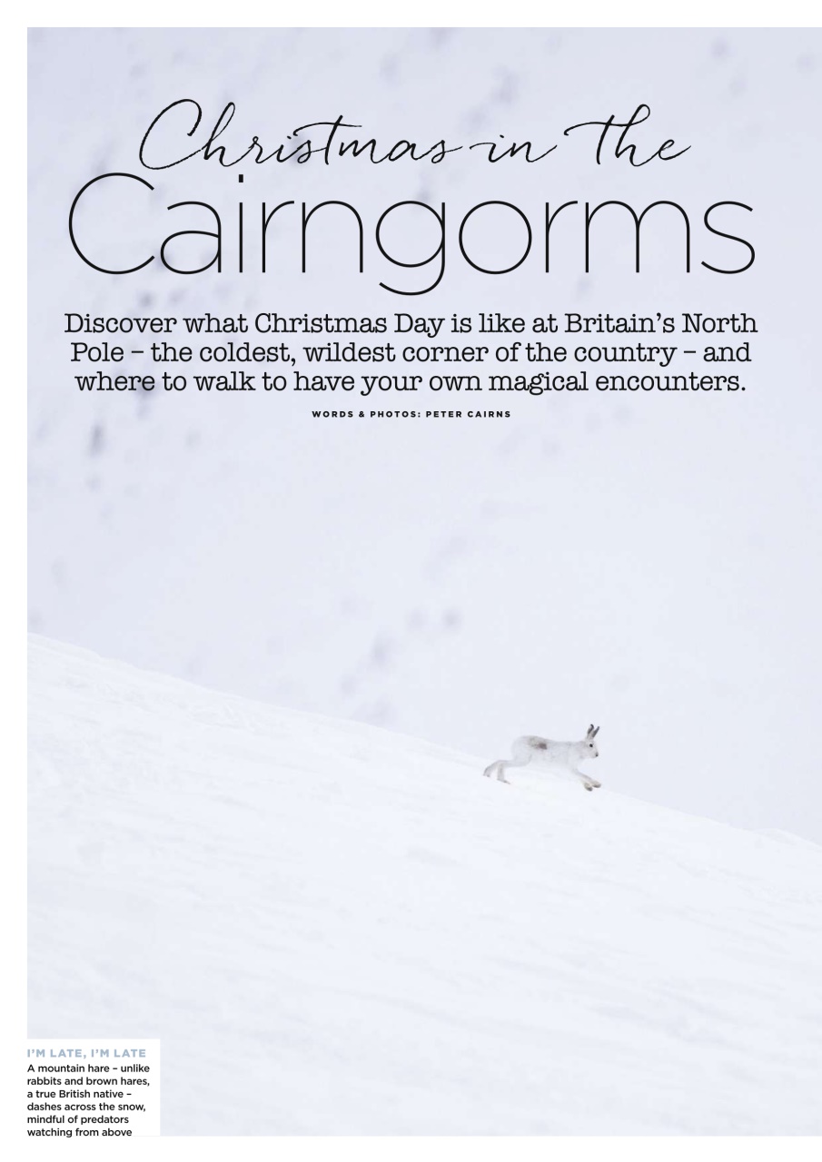 Country Walking Preview Pages