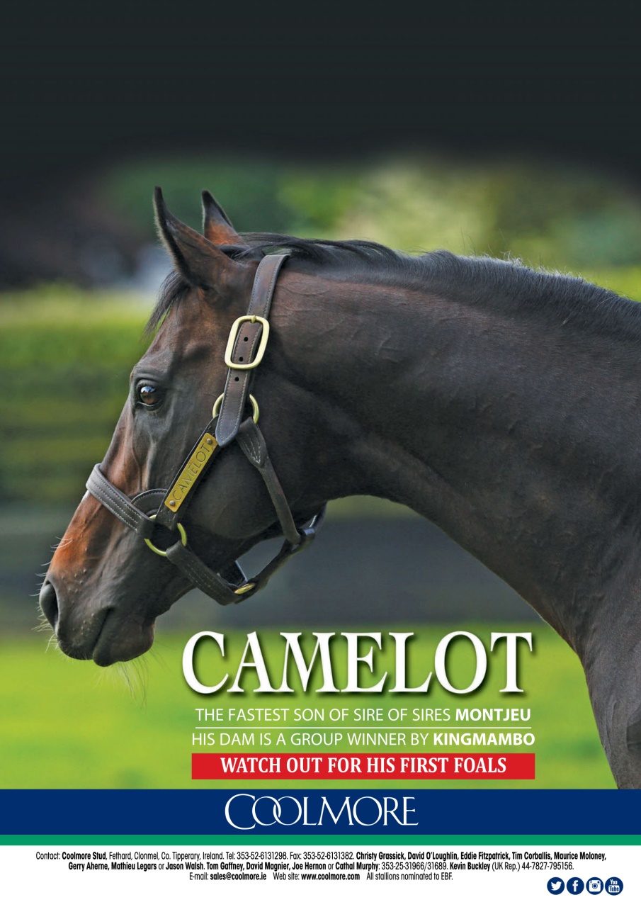 The Owner Breeder Preview Pages